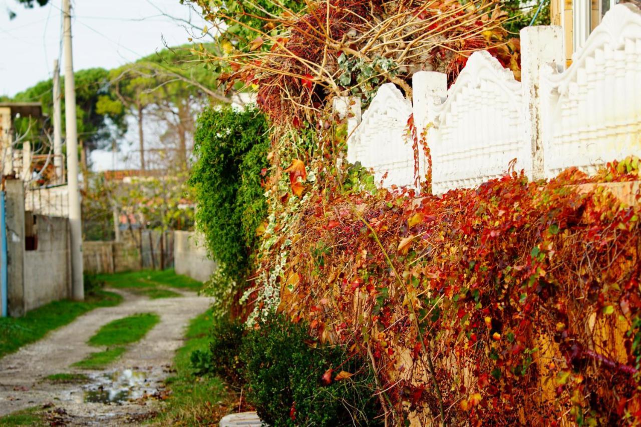 Villa Duka Wlora Zewnętrze zdjęcie